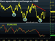 Euro Bull-Bear Division Chart