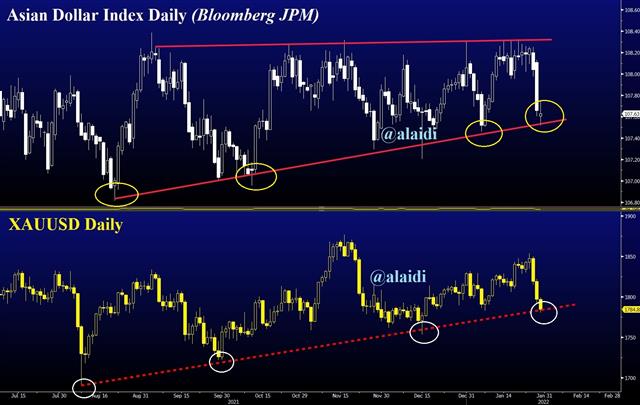 Adxy Dxy Jan 28 2022 The Other Dollar Index - Adxy Dxy Jan 28 2022 (Chart 1)