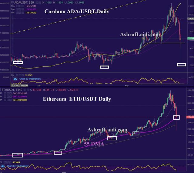 Taper Talk & Crypto Crumble Reverberates - Cardano Ether May 19 2021 (Chart 1)