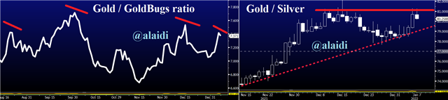 Gold Silver Bugs Jan 7 2022 Gold Barely Passes so Far - Gold Silver Bugs Jan 7 2022 (Chart 1)