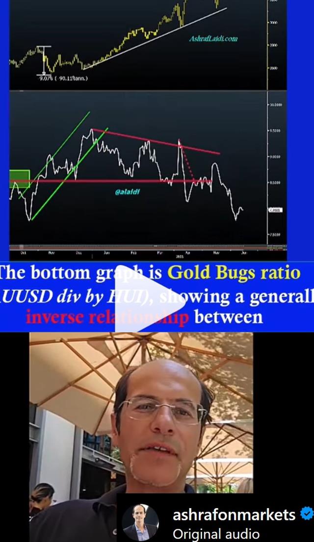 Updating GoldBugs تحديث مناجم الذهب - Insta Cov Goldbugs Update June (Chart 1)