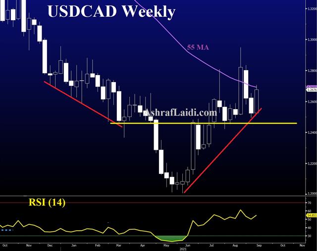 Usdcad Daily Sep 8 2021 What Will the BoC Signal? - Usdcad Daily Sep 8 2021 (Chart 1)