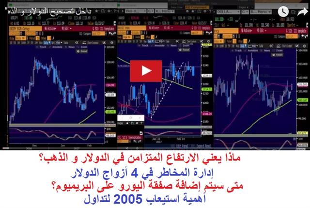 ماذا يعني الارتفاع المتزامن في الدولار و الذهب؟ - Video Arabic Snapshot Feb 21 2017 (Chart 1)