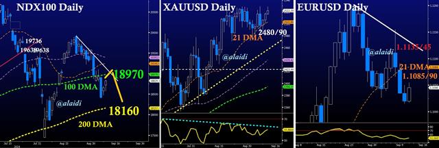 Gold Ndx Eur Sep 11 Pre CPI Charts - Gold Ndx Eur Sep 11 (Chart 1)