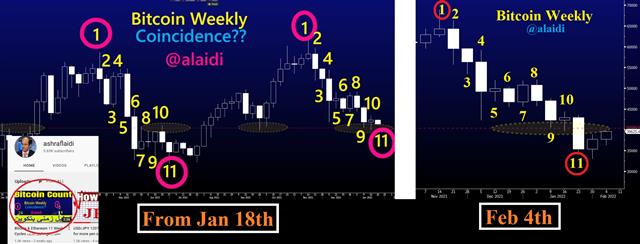 11th Week Validity Prevails - Bitcoincountcover Updated Feb 4 (Chart 1)