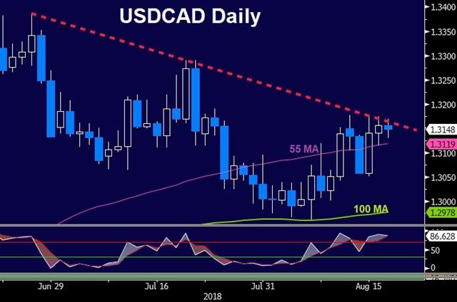 Don't Forget CAD & NAFTA - Usdcad Daily Aug 17 2018 (Chart 1)