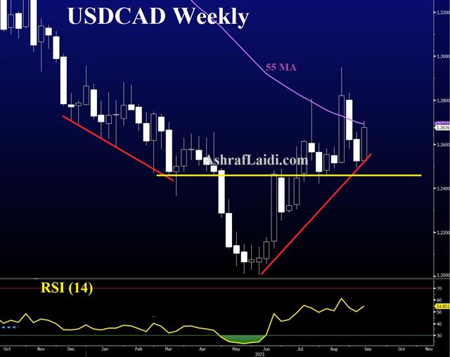 What Will the BoC Signal? - Usdcad Daily Sep 8 2021 (Chart 1)