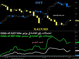 Gold & Rate Hike Update Chart